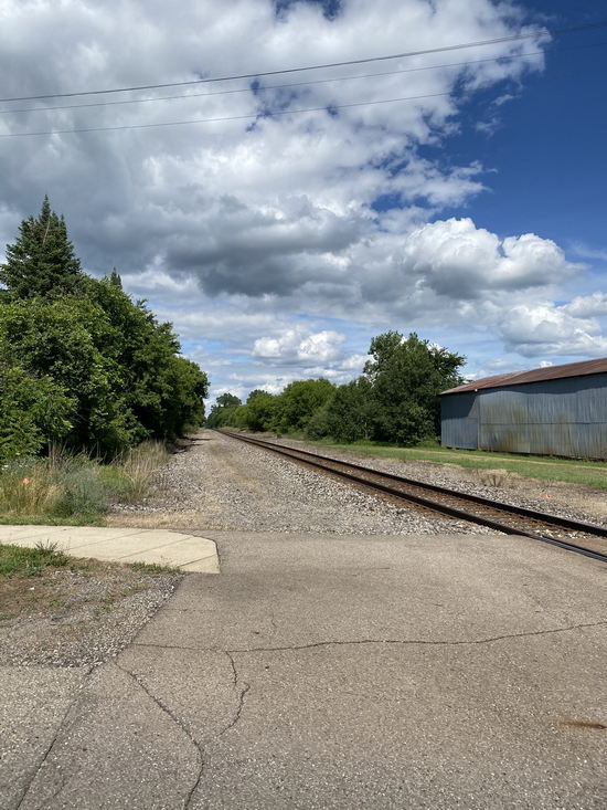 Morrice - July 2020 Photo (newer photo)